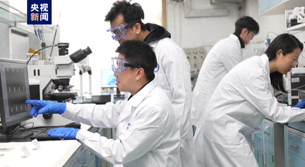 二維金屬碲化物宏量制備實(shí)現(xiàn)突破，為未來材料應(yīng)用鋪平道路