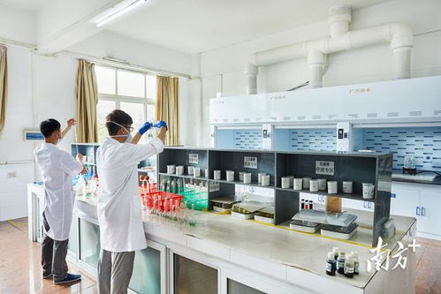 深耕“國字號”沃土，筑造粵北材料科學創新高地——英德的戰略路徑與實踐探索